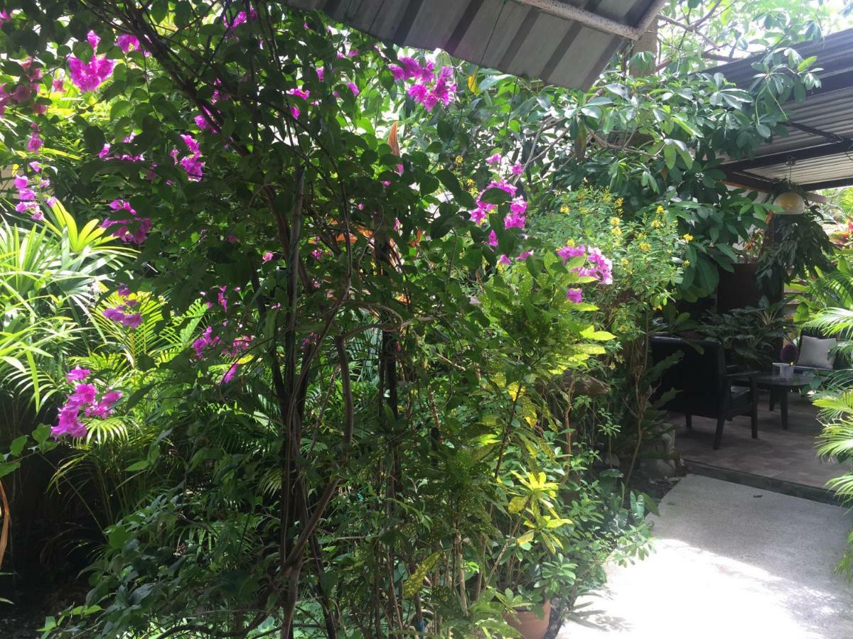 Lemon House Samui Hotel Mae Nam Luaran gambar